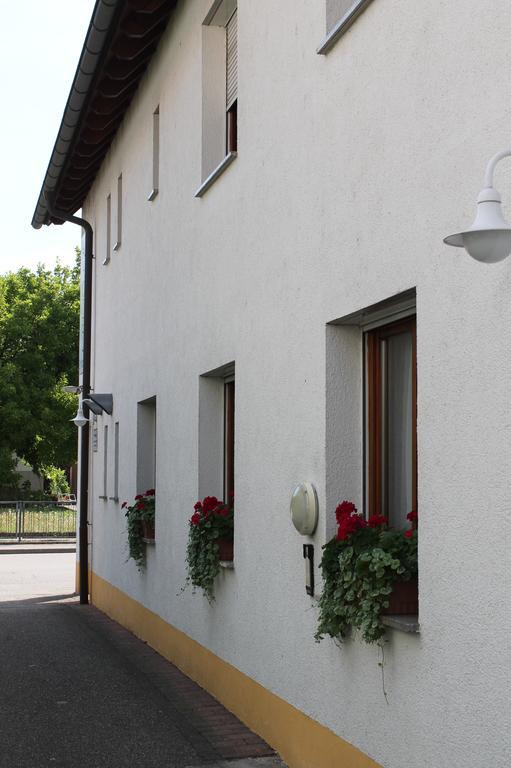 Hirschengarten Hotel Freiburg im Breisgau Ngoại thất bức ảnh