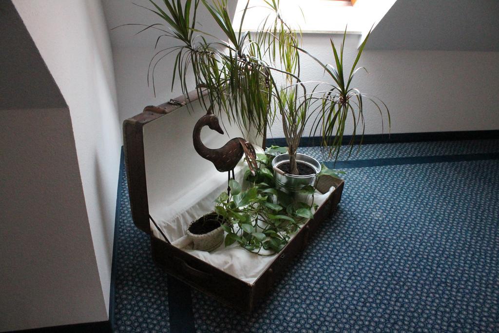 Hirschengarten Hotel Freiburg im Breisgau Ngoại thất bức ảnh