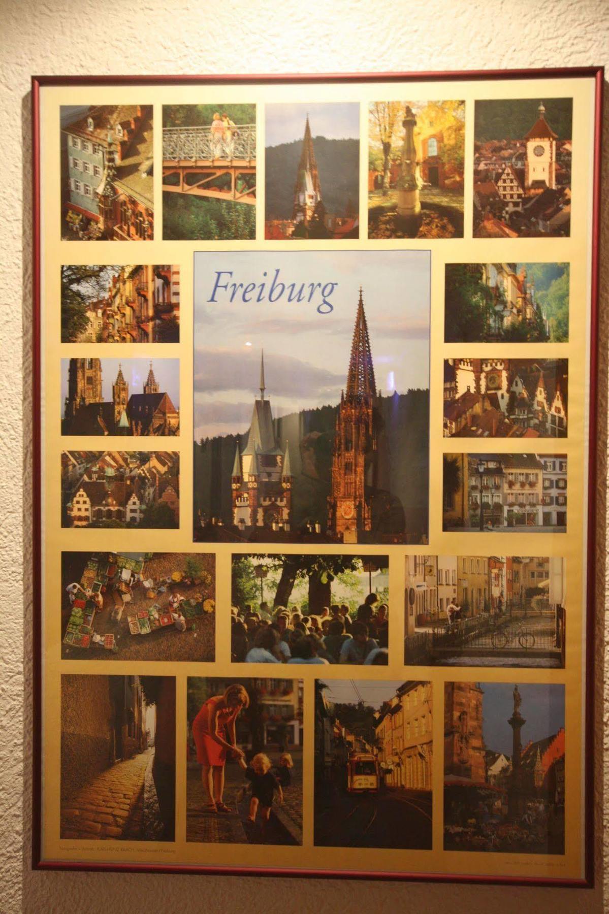 Hirschengarten Hotel Freiburg im Breisgau Ngoại thất bức ảnh